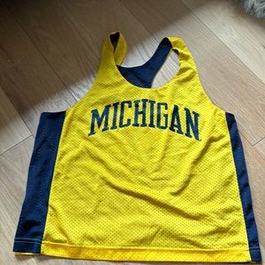 University of Michigan reversible pinnie